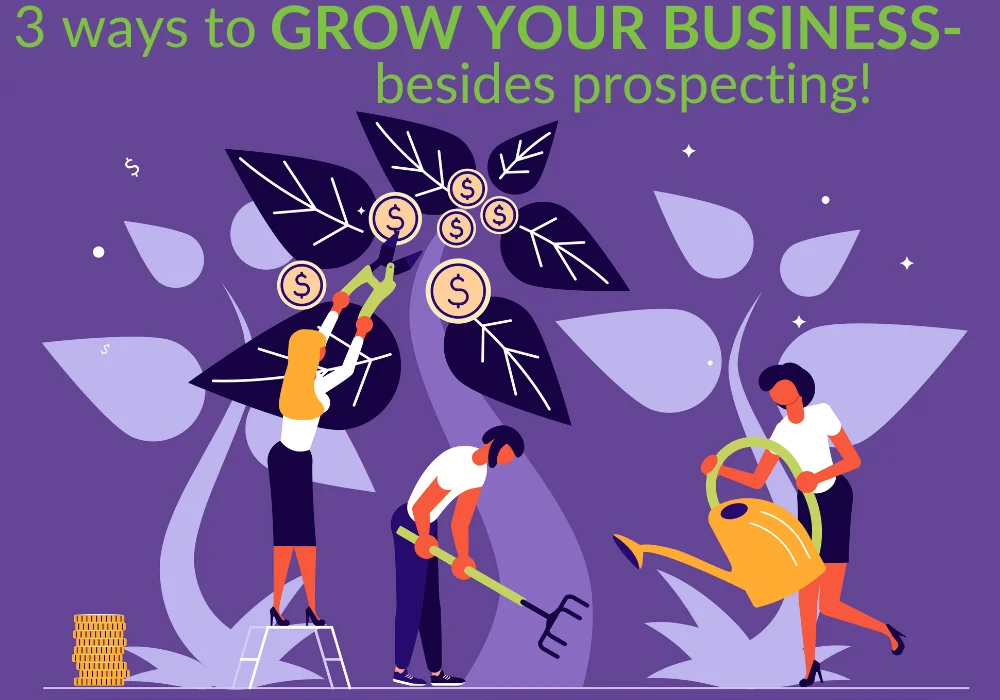Grow your business